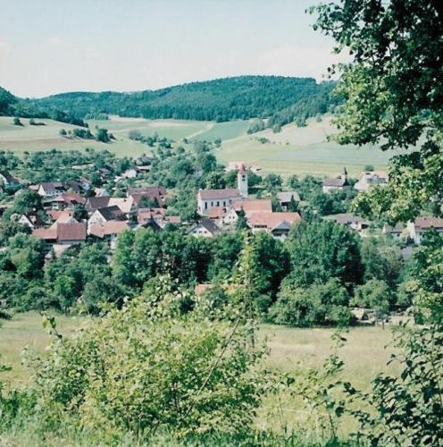 Gasthaus Schwanen & Villa Pfarrhus Stuhlingen Luaran gambar